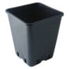 6 L sort firkantet plast pot 18 x 18 x 23 cm