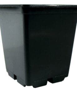 0,25 L sort firkantet plast pot 7 x 7 x 8 cm