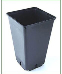 2 L sort firkantet plast pot 12 x 12 x 20 cm