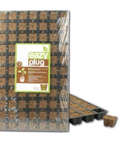 Easy Plug 77stk vækst kuber i bakke