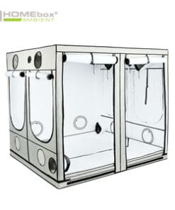 HOMEbox Ambient gro telt 240 x 240 x 200